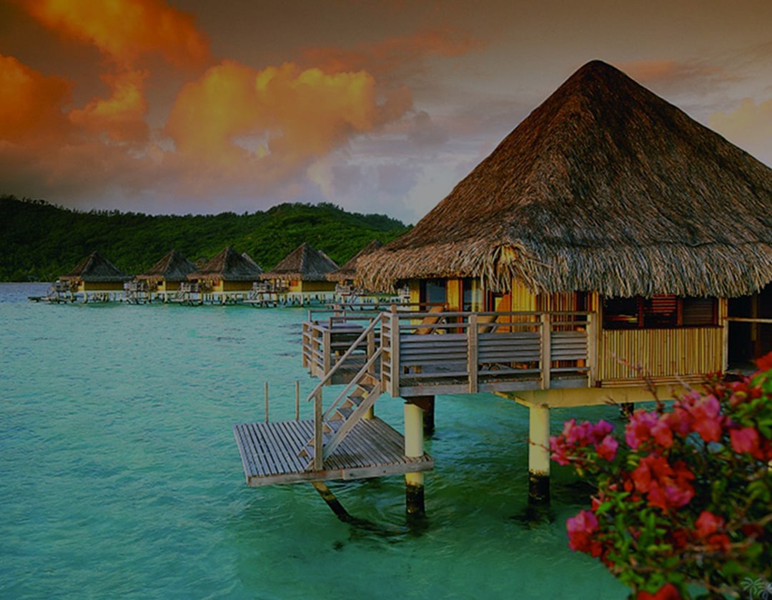 Գրեթե բոլոր էկզոտիկ երկներում հյուրանոցների ամրագրում